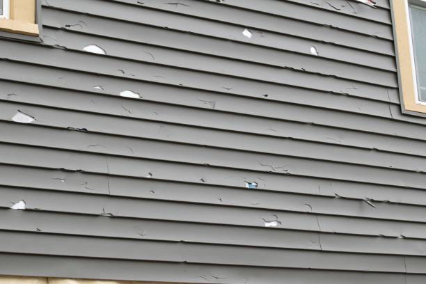 Best Siding Painting and Refinishing  in Stem, NC